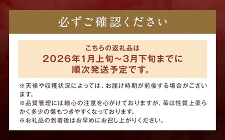 特別栽培の濃厚完熟あまおう 約500g 約250g×2パック【2026年1月上旬から3月下旬発送予定】 苺 いちご あまおう 果物 フルーツ 福岡県