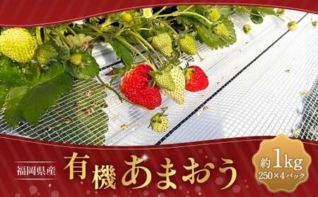 有機あまおう250g×4パック 【2026年1月上旬～3月下旬頃発送予定】 苺 いちご イチゴ 果物 くだもの フルーツ 国産 冷蔵 250g 4パック 有機あまおう あまおう