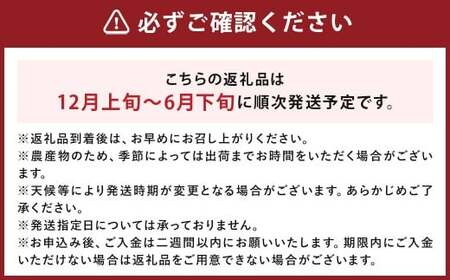 ミディトマト はなひめ 3kg 中玉 トマト 福岡県産 【7月-11月発送不可】