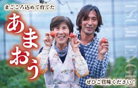 【2026年4月出荷予定】訳あり あまおう 280g×6パック(約1680g)<配送不可:北海道、沖縄県、離島>