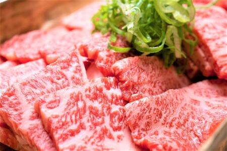 訳あり【A4～A5】博多和牛焼肉切り落とし500g (肩ロース・バラ)