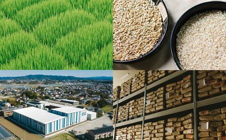 【福岡県産元気つくしをお届け】ふるさと納税 らくらくお米便 60kgコース