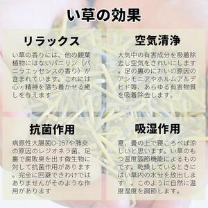 国産い草ラグ DX式部 ベージュ 133×200