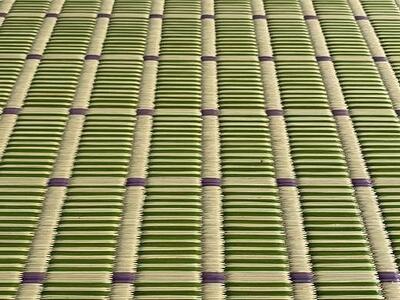 国産い草 掛川織ラグ 伊吹 グリーン 191×250