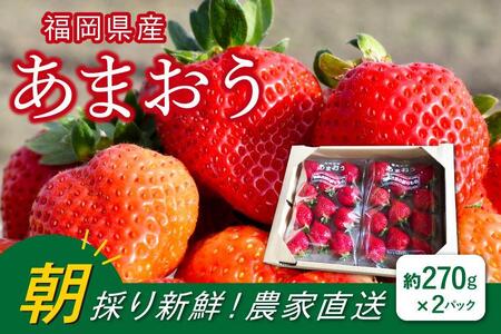 福岡県産あまおう 約270g×2パック 朝採りイチゴ 農家直送 苺専用パッケージでお届け