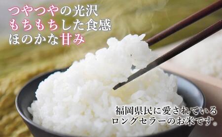 令和7年米 福岡県産 米 金のめし丸夢つくし 5kg (1袋)