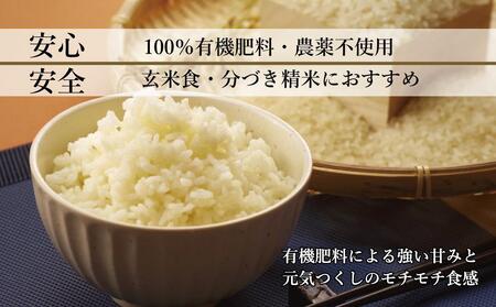 玄米(特別栽培農産物)元気つくし 5kg×2袋 (計10kg)