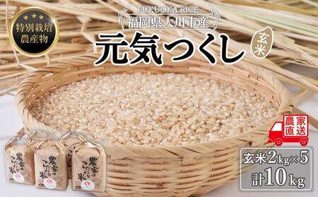 玄米(特別栽培農産物)元気つくし 2kg×5袋 (計10kg)