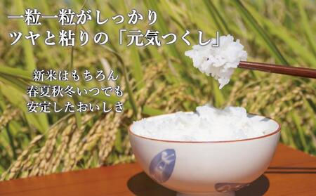 白米(特別栽培農産物)元気つくし 5kg×2袋 (計10kg)