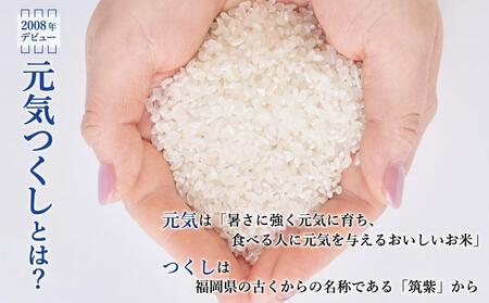 【令和7年度新米】先行予約受付 数量限定 白米(特別栽培農産物)元気つくし 2kg×5袋 (計10kg)