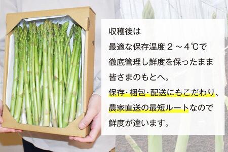 【朝採り直送】夏芽アスパラガス 1kg（2L-Lサイズ）福岡県産 2024年