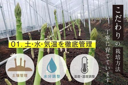 【朝採り直送】夏芽アスパラガス 1kg（L-Mサイズ）福岡県産 2026年