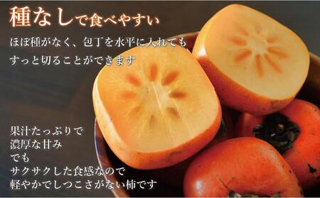 【福岡県産】秋王 約1.7kg