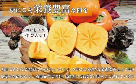 【福岡県産】秋王 約1.7kg