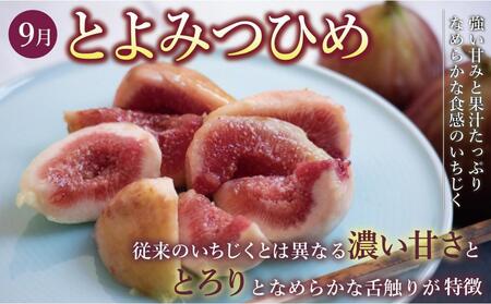 【全3回定期便】福岡県産フルーツ定期便