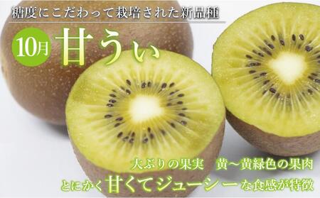 【全3回定期便】福岡県産フルーツ定期便