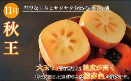 【全3回定期便】福岡県産フルーツ定期便