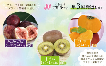 【全3回定期便】福岡県産フルーツ定期便