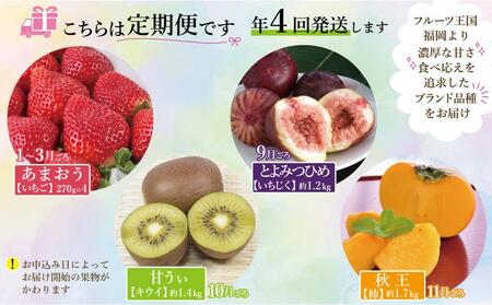 福岡フルーツ定期便A (あまおう・とよみつひめ・甘うぃ・秋王)【全4回】