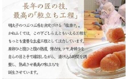 かねふく チューブ明太子500g【明太子 めんたいこ かねふく 魚介類 家庭用 お取り寄せグルメ ご飯のお供 お取り寄せ お土産 九州 ご当地グルメ 取り寄せ グルメ】