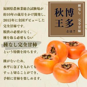 【2026年11月上旬より順次発送】福岡県産 博多秋王【優等品】約10.5kg以上(8玉〜12玉入り)×3箱 うまうまもぐもぐ