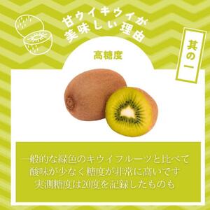 【2026年11月上旬より順次発送】博多甘うぃキウイ(あまうぃ)大玉 9玉入り 1.4kg相当 うまうまもぐもぐ