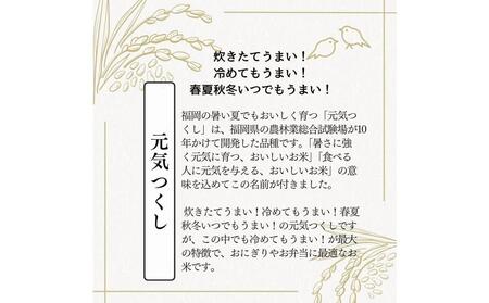 【無洗米】福岡のお米食べ比べセット《真空パック》合計10kg(1kg×各5本)【夢つくし・元気つくし】