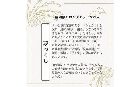 【無洗米】福岡のお米食べ比べセット《真空パック》合計10kg(1kg×各5本)【夢つくし・元気つくし】