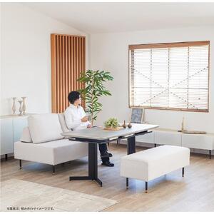 Carlo カルロ 幅140 アイランドソファ 【モーブル】【大川家具】