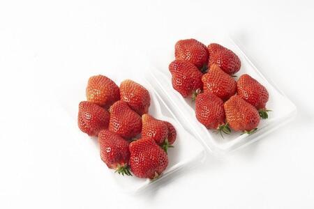 【2026年1月~3月出荷予定】完熟 大粒 あまおう イチゴ 280g×2パック(約560g)<配送不可:北海道、沖縄県、離島>