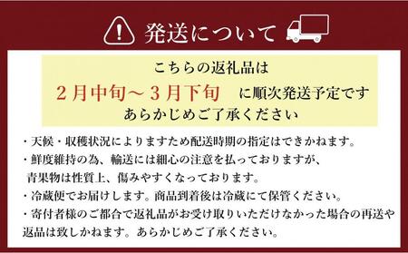 ★先行予約★いちごの王様 福岡県産博多あまおう270g×4パック【2026年2月中旬~3月順次出荷予定】