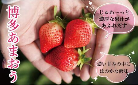 ★先行予約★いちごの王様 福岡県産博多あまおう270g×4パック【2026年2月中旬~3月順次出荷予定】