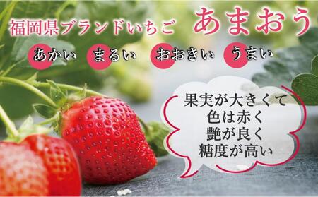 ★先行予約★いちごの王様 福岡県産博多あまおう270g×4パック【2026年2月中旬~3月順次出荷予定】