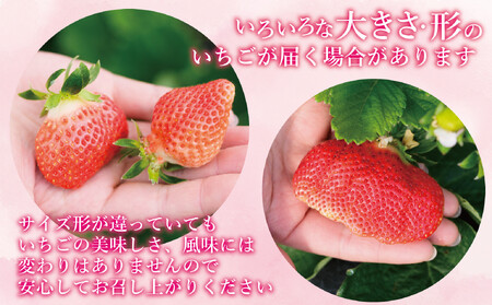 ★先行予約★いちごの王様 福岡県産博多あまおう270g×4パック【2026年2月中旬~3月順次出荷予定】