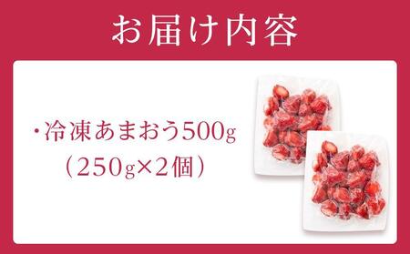 福岡県産 冷凍あまおう500g(250g×2個)