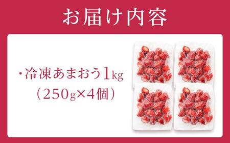 福岡県産 冷凍あまおう1kg(250g×4個)