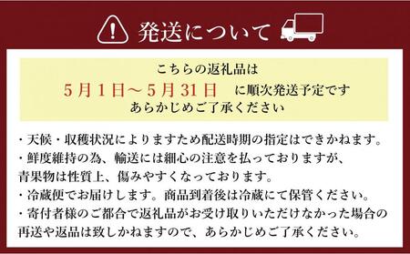 【2026年5月以降順次発送】訳あり加工用あまおういちご バラ詰め福岡県産 たっぷり約1.7kg＜配送不可：北海道、沖縄県、離島＞