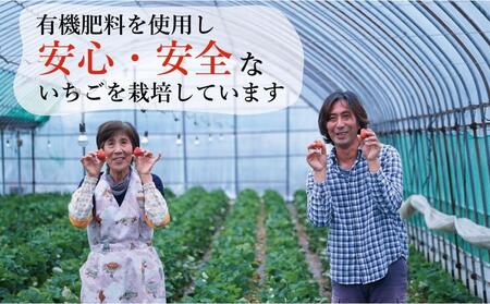 【2026年5月以降順次発送】訳あり加工用あまおういちご バラ詰め福岡県産 たっぷり約1.7kg＜配送不可：北海道、沖縄県、離島＞