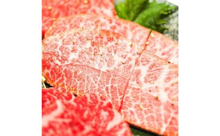 【厳選希少部位】【A4~A5】博多和牛ミスジステーキ 約500g(100g×5パック)