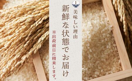 【令和7年産】福岡県産 米 夢つくし 5kg × 1袋 | 米 お米 こめ 白米 精米 ライス ブランド米 美味しい ご飯 おいしい ごはん
