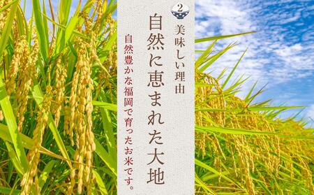 【令和7年産】福岡県産 米 夢つくし 5kg × 1袋 | 米 お米 こめ 白米 精米 ライス ブランド米 美味しい ご飯 おいしい ごはん