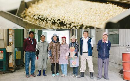【福岡県産夢つくしをお届け】ふるさと納税 らくらくお米便 30kgコース