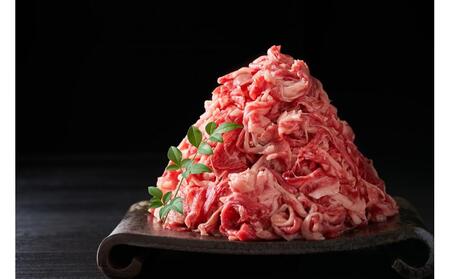 博多和牛A4ランク以上切り落とし 訳あり! 5.0kg(500g×10個)