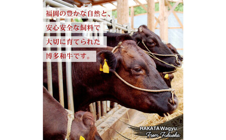 博多和牛 カルビ焼肉(バラ)定期便全12回(約750g×12回)