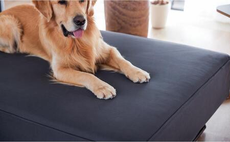 【本体取替カバー(同色)セット】 リバティ2 スツール 65cm ダークグレー【モーブル】【大川家具】