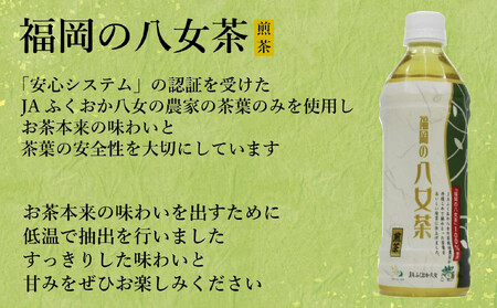 【全3回毎月定期便】八女茶 煎茶ペットボトル 500ml×24本　