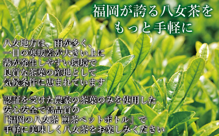 【全6回毎月定期便】八女茶 煎茶ペットボトル 500ml×24本