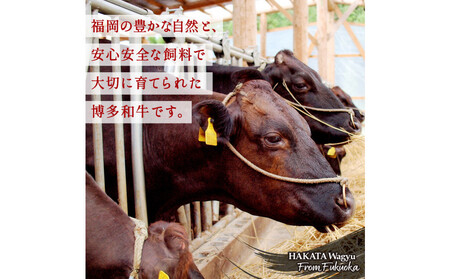 博多和牛 霜降りカルビたれ漬け 全３回定期便 約600g×3回