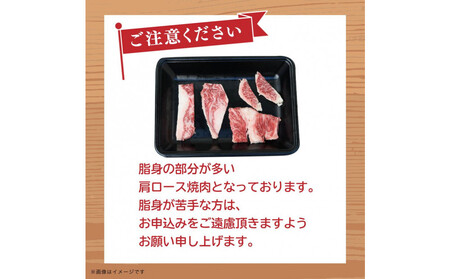 博多和牛 肩ロース焼肉 定期便全6回 約3kg(約500g×6回)