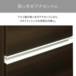 160両袖デスク-DB-エクティ